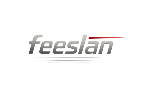 Logo feeslan w stylu motoryzacyjnym